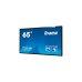 iiyama ProLite T6562AS-B1, Public Display(schwarz, UltraHD/4K, IPS, Android)